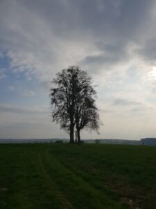 LE MONT DE GUNSTETT